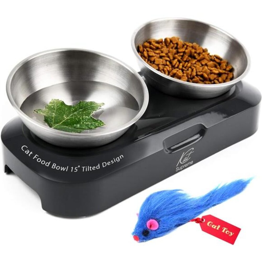 Cat Food Bowl - Cat Bowls for Indoor Cats, Set of 2 Stainless Steel Cat Bowls